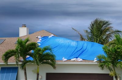 Prevent Mold and Mildew with Roof Tarping!