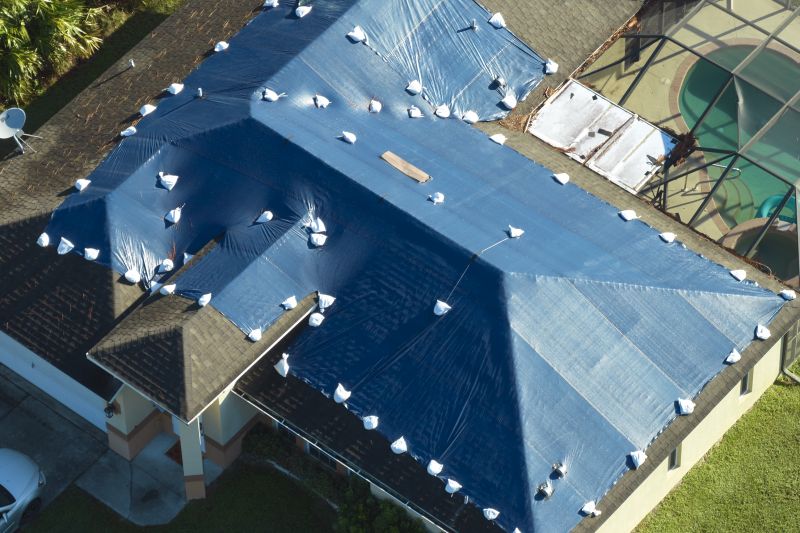 Roof Tarping