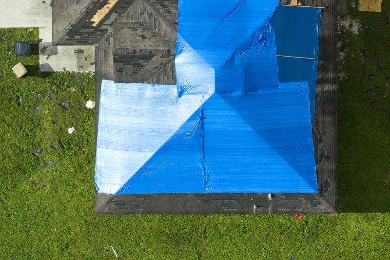 Roof Tarping