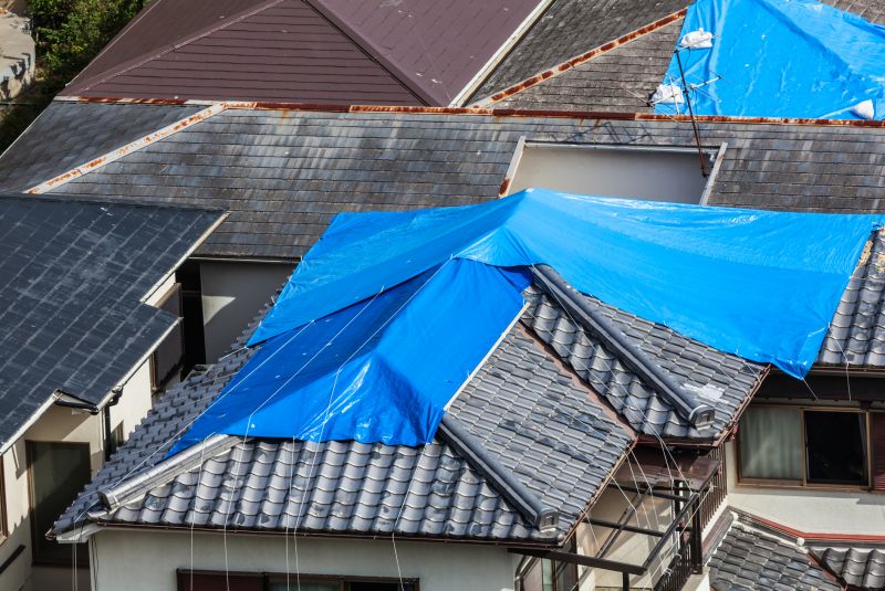 Roof Tarping